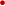�