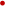�