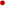 �