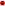 �