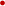 �